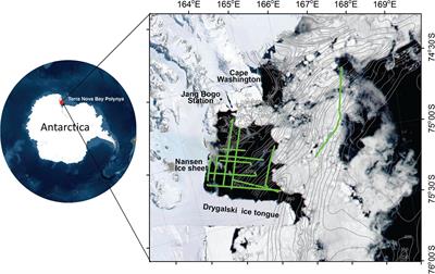 Acoustic Detection of Krill Scattering Layer in the Terra Nova Bay Polynya, Antarctica